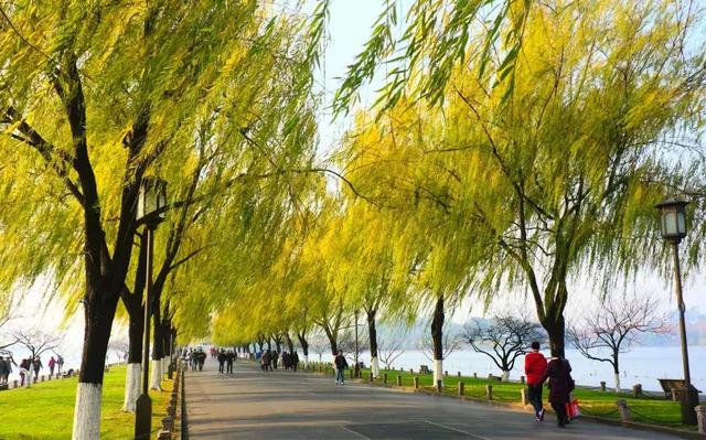 ��ǿ���ݹ��ԣ������Щ�����������ݣ��ʺϵ�һ�������ˣ�