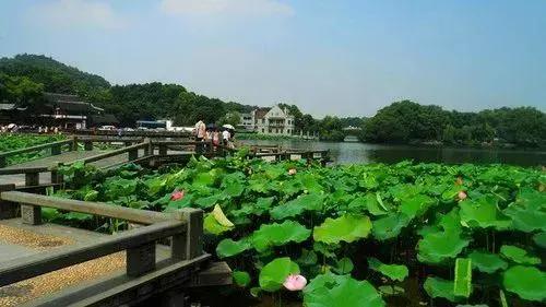 ��ǿ���ݹ��ԣ������Щ�����������ݣ��ʺϵ�һ�������ˣ�