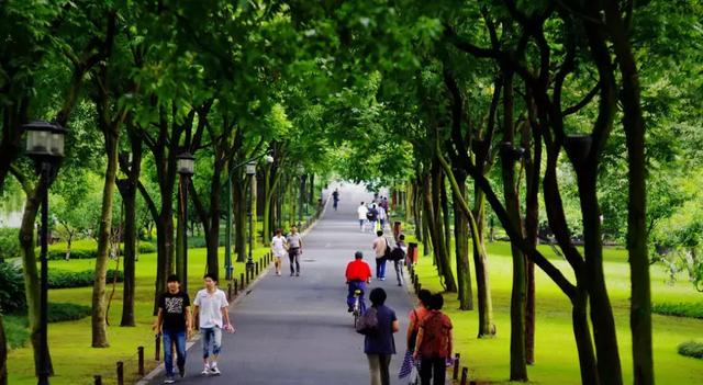 ��ǿ���ݹ��ԣ������Щ�����������ݣ��ʺϵ�һ�������ˣ�