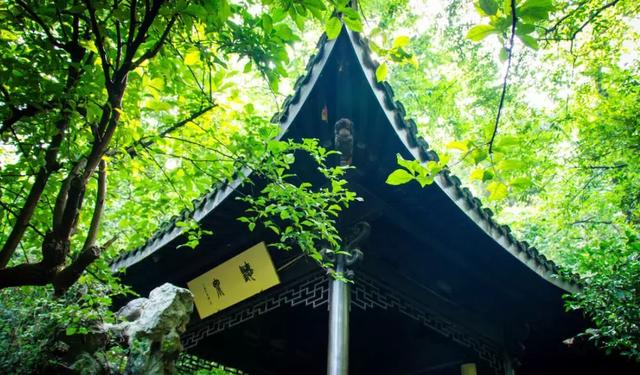 ��ǿ���ݹ��ԣ������Щ�����������ݣ��ʺϵ�һ�������ˣ�