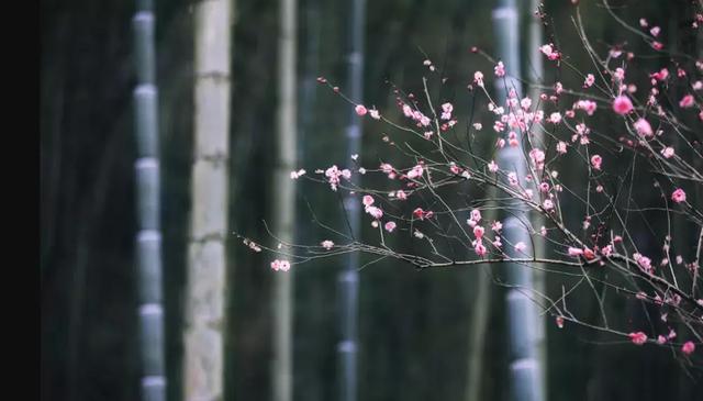 ��ǿ���ݹ��ԣ������Щ�����������ݣ��ʺϵ�һ�������ˣ�