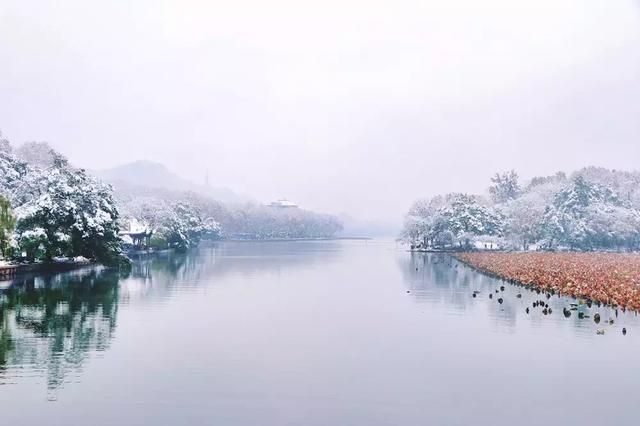 ��ǿ���ݹ��ԣ������Щ�����������ݣ��ʺϵ�һ�������ˣ�