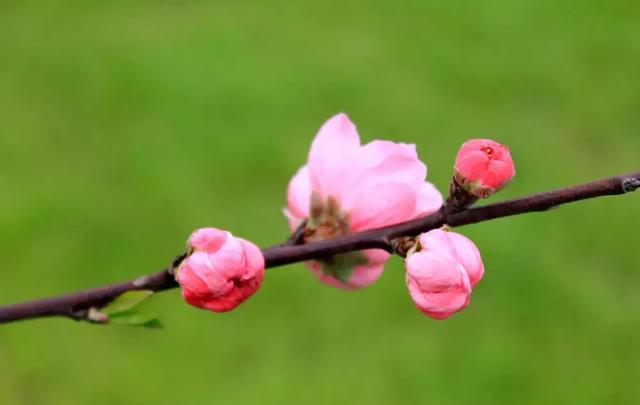 ��ǿ���ݹ��ԣ������Щ�����������ݣ��ʺϵ�һ�������ˣ�