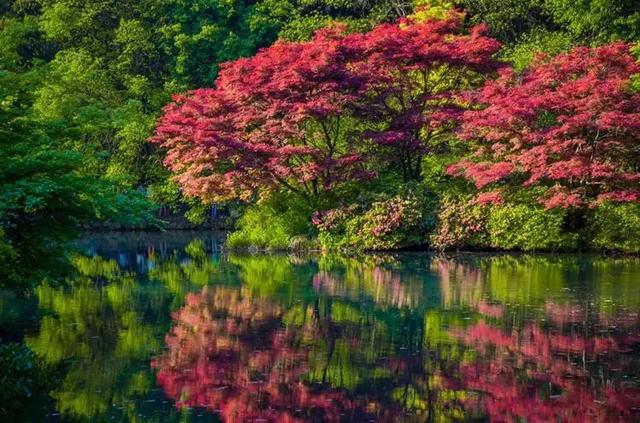 ��ǿ���ݹ��ԣ������Щ�����������ݣ��ʺϵ�һ�������ˣ�