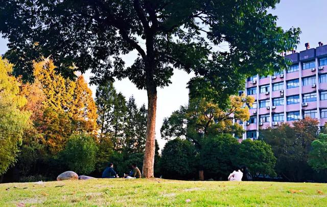 ��ǿ���ݹ��ԣ������Щ�����������ݣ��ʺϵ�һ�������ˣ�