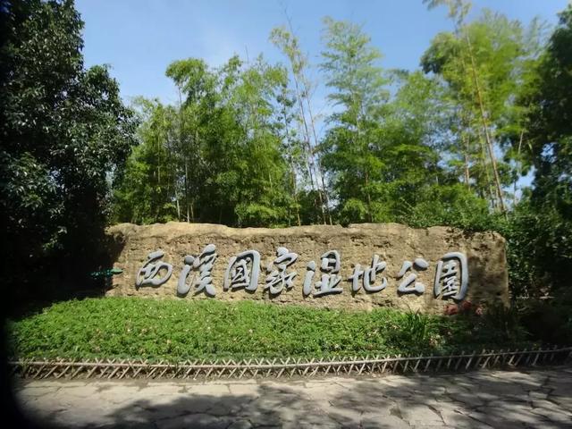 ��ǿ���ݹ��ԣ������Щ�����������ݣ��ʺϵ�һ�������ˣ�