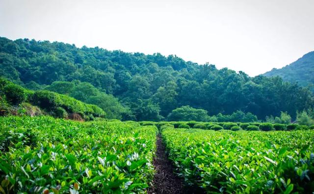 ��ǿ���ݹ��ԣ������Щ�����������ݣ��ʺϵ�һ�������ˣ�