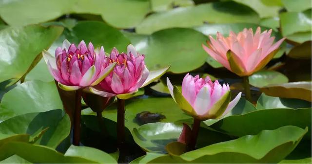 ��ǿ���ݹ��ԣ������Щ�����������ݣ��ʺϵ�һ�������ˣ�