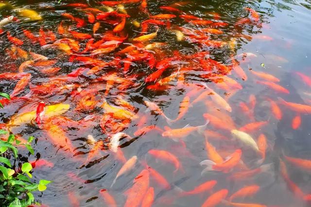 ��ǿ���ݹ��ԣ������Щ�����������ݣ��ʺϵ�һ�������ˣ�