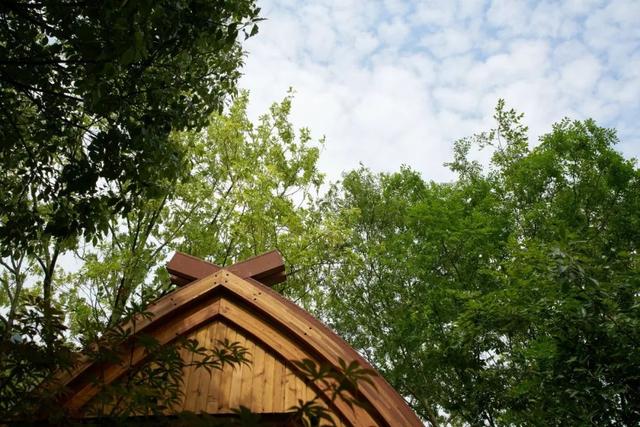 �������ϣ�Ư�ڽ��ߵ�ľͷ����