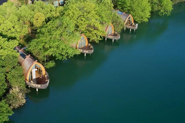 �������ϣ�Ư�ڽ��ߵ�ľͷ����