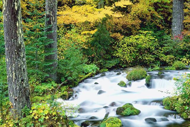 ������淨���а���ǧ����������