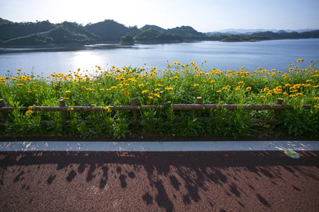 ������淨���а���ǧ����������