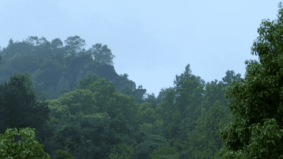 һ���Ŀ���ҵ�����ɽ���췿���ӣ�3�������룬��ֲ�ͨ��