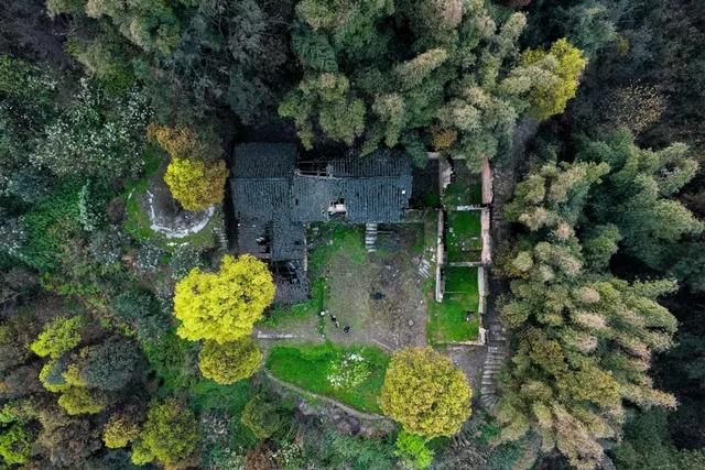 һ���Ŀ���ҵ�����ɽ���췿���ӣ�3�������룬��ֲ�ͨ��