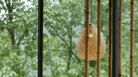 һ���Ŀ���ҵ�����ɽ���췿���ӣ�3�������룬��ֲ�ͨ��