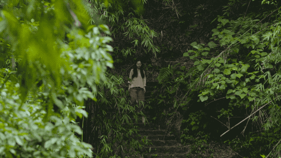 һ���Ŀ���ҵ�����ɽ���췿���ӣ�3�������룬��ֲ�ͨ��