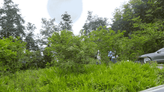 һ���Ŀ���ҵ�����ɽ���췿���ӣ�3�������룬��ֲ�ͨ��