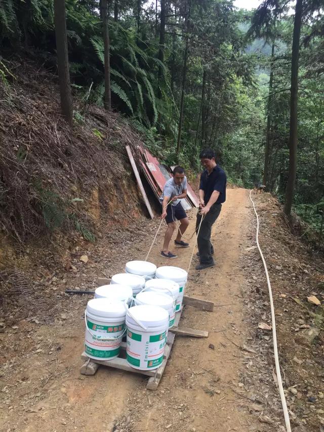 һ���Ŀ���ҵ�����ɽ���췿���ӣ�3�������룬��ֲ�ͨ��