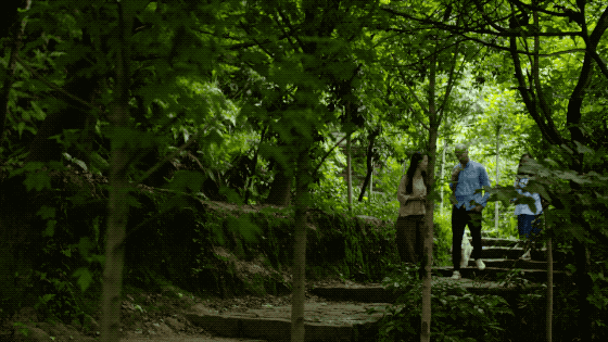 һ���Ŀ���ҵ�����ɽ���췿���ӣ�3�������룬��ֲ�ͨ��