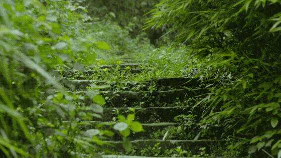 һ���Ŀ���ҵ�����ɽ���췿���ӣ�3�������룬��ֲ�ͨ��