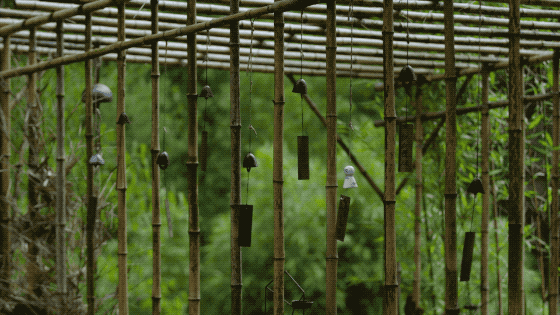 һ���Ŀ���ҵ�����ɽ���췿���ӣ�3�������룬��ֲ�ͨ��