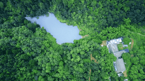 һ���Ŀ���ҵ�����ɽ���췿���ӣ�3�������룬��ֲ�ͨ��