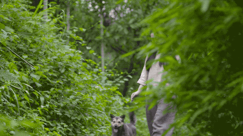 һ���Ŀ���ҵ�����ɽ���췿���ӣ�3�������룬��ֲ�ͨ��