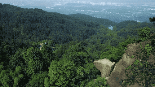 һ���Ŀ���ҵ�����ɽ���췿���ӣ�3�������룬��ֲ�ͨ��