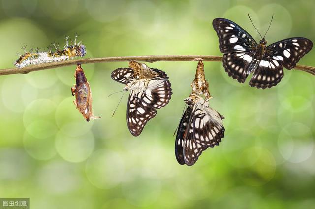 �ؼ�ʱ�̽����ӳ������ģ������������������������ƿؾ���