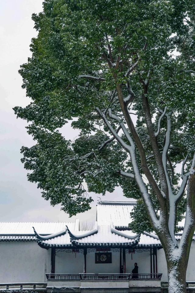 500������׾��԰�������ܶ���