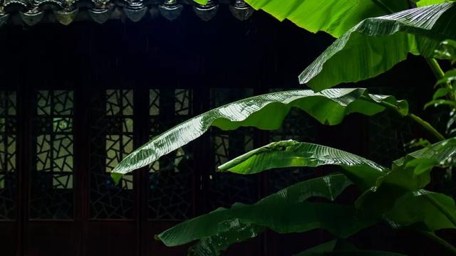 500������׾��԰�������ܶ���