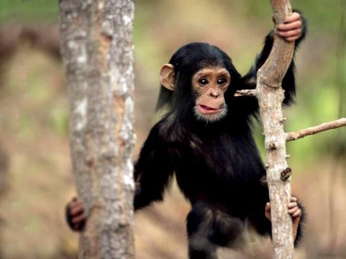 ����7��С���£���������ʲô��Ŀ��������ϰ�ֵ��ϸ����˼