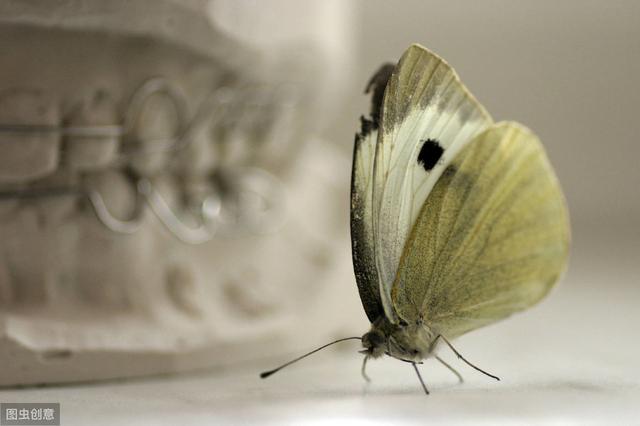 63���������¼���ʾ����ζ���ֵ�������ղ�