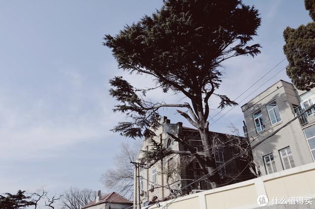 ����Σ����漸ʮ�ε��ൺ�����������������ൺ��γ�ס��