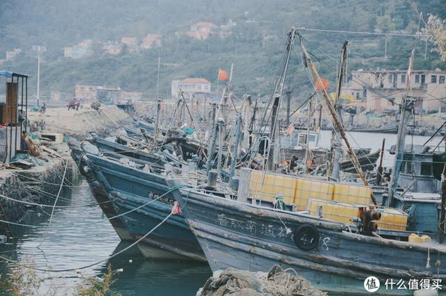 ����Σ����漸ʮ�ε��ൺ�����������������ൺ��γ�ס��