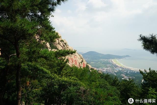 ����Σ����漸ʮ�ε��ൺ�����������������ൺ��γ�ס��