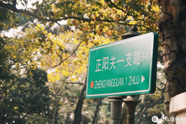 ����Σ����漸ʮ�ε��ൺ�����������������ൺ��γ�ס��