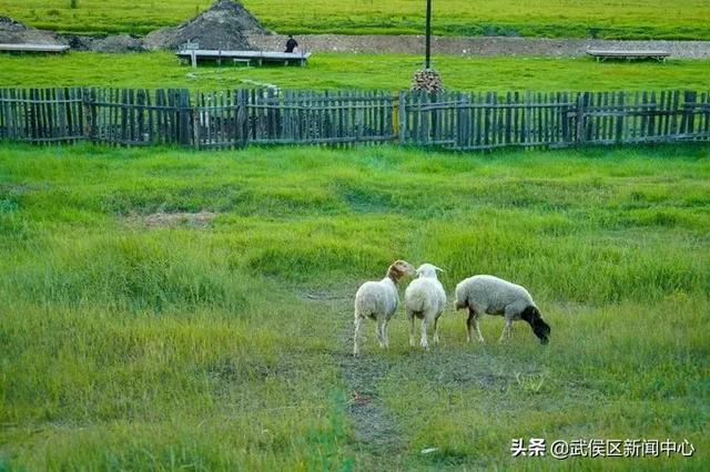 ����ֵ��ȥ��11���ط��������ֺ�ˣ��