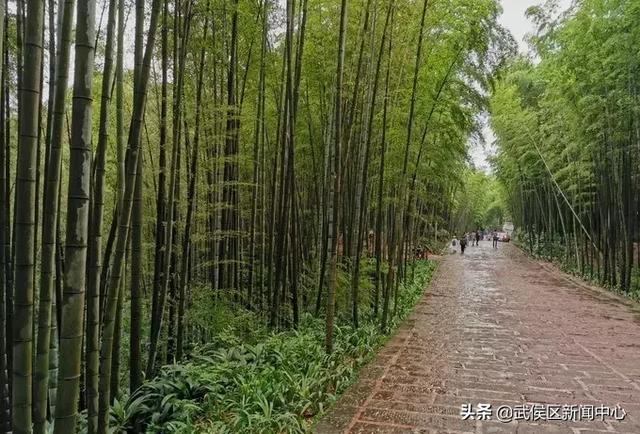 ����ֵ��ȥ��11���ط��������ֺ�ˣ��