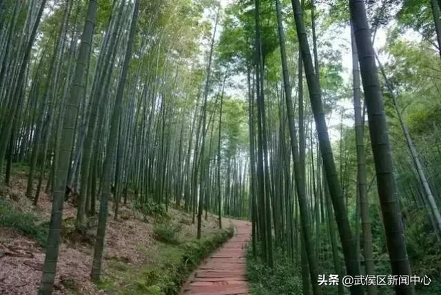 ����ֵ��ȥ��11���ط��������ֺ�ˣ��