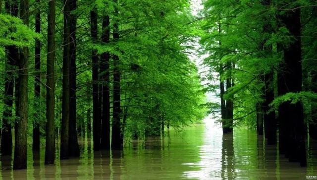 �㽭���ι��ԣ��㽭ֵ��һȥ�����ξ����Ƽ�