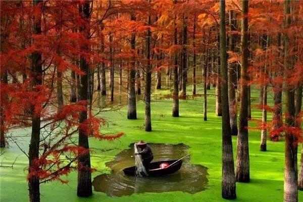 �㽭���ι��ԣ��㽭ֵ��һȥ�����ξ����Ƽ�