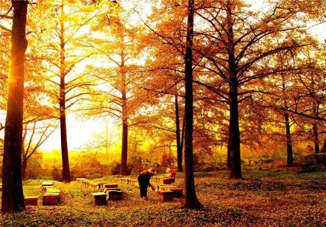 �㽭���ι��ԣ��㽭ֵ��һȥ�����ξ����Ƽ�