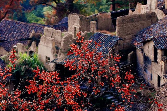 �㽭���ι��ԣ��㽭ֵ��һȥ�����ξ����Ƽ�