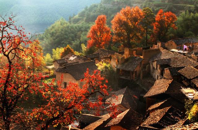 �㽭���ι��ԣ��㽭ֵ��һȥ�����ξ����Ƽ�