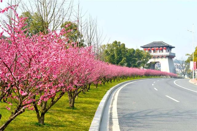 �㽭���ι��ԣ��㽭ֵ��һȥ�����ξ����Ƽ�