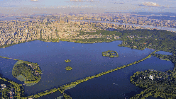 �㽭���ι��ԣ��㽭ֵ��һȥ�����ξ����Ƽ�