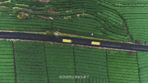 �㽭���ι��ԣ��㽭ֵ��һȥ�����ξ����Ƽ�