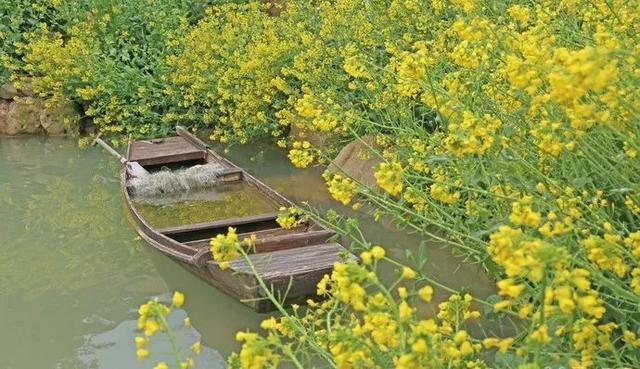 �㽭���ι��ԣ��㽭ֵ��һȥ�����ξ����Ƽ�